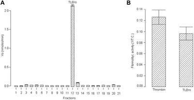 Biochemical and hemostatic description of a thrombin-like enzyme TLBro from Bothrops roedingeri snake venom